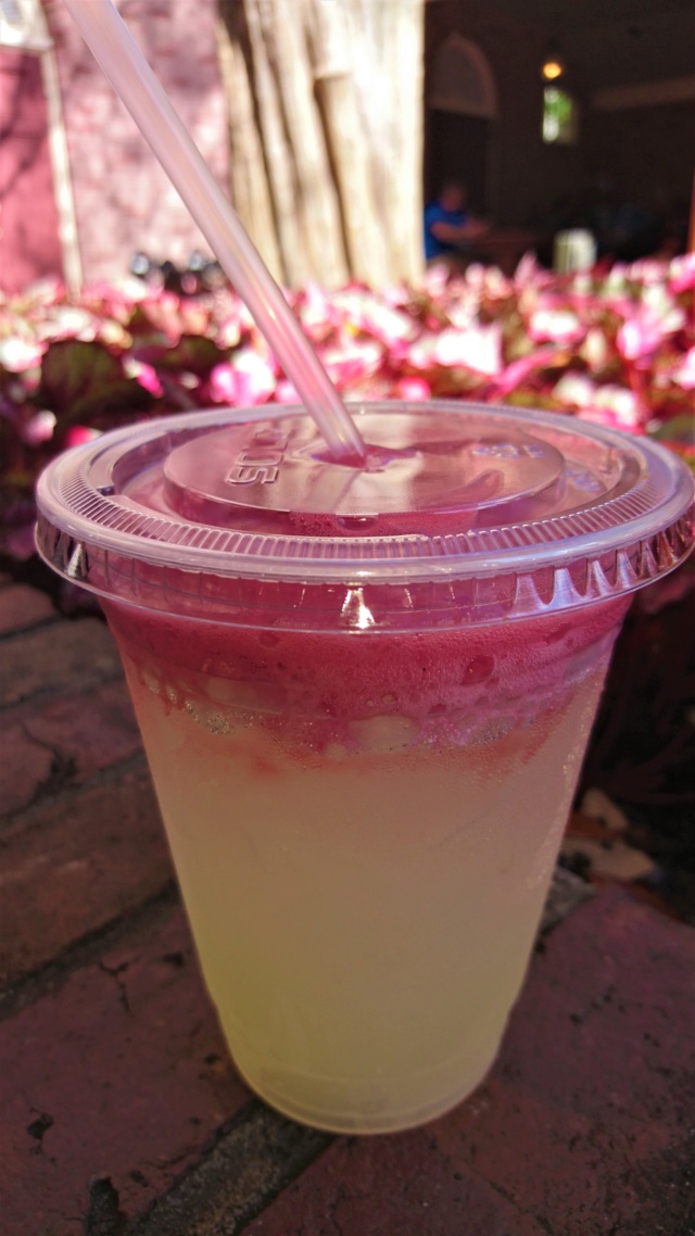ºOº DIA 20 ~ VISITAMOS MAGIC KINGDOM, HOLLYWOOD STUDIOS Y DISNEY SPRINGS - GUIA CULINARIA DE WALT DISNEY WORLD Y UNIVERSAL ORLANDO (4)