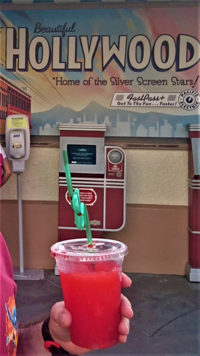 ºOº DIA 20 ~ VISITAMOS MAGIC KINGDOM, HOLLYWOOD STUDIOS Y DISNEY SPRINGS - GUIA CULINARIA DE WALT DISNEY WORLD Y UNIVERSAL ORLANDO (27)