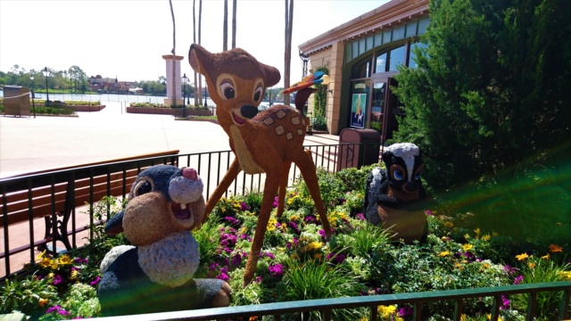 ºOº DIA 22 ~ DESPIDIÉNDONOS DE LOS PARQUES DE WALT DISNEY WORLD, OOOH! - GUIA CULINARIA DE WALT DISNEY WORLD Y UNIVERSAL ORLANDO (6)