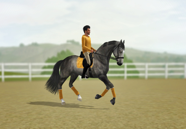 Cavaliad Equestrian wita! Charli10