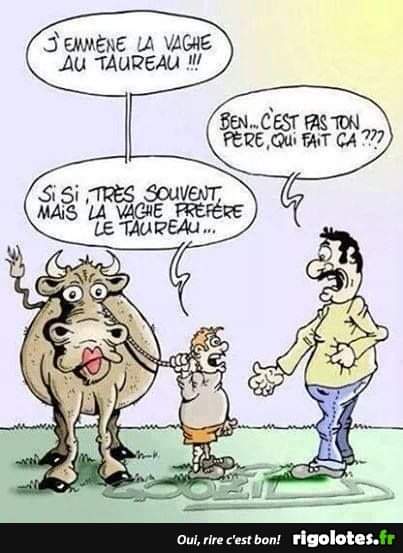 humour en images II - Page 11 Fb_img23