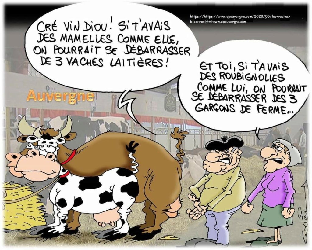 humour en images II - Page 20 Fb_img43