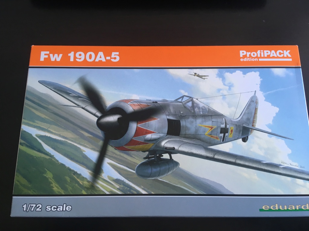 FockWulf  FW 190A-5 EDUARD 1/72 Img_5510