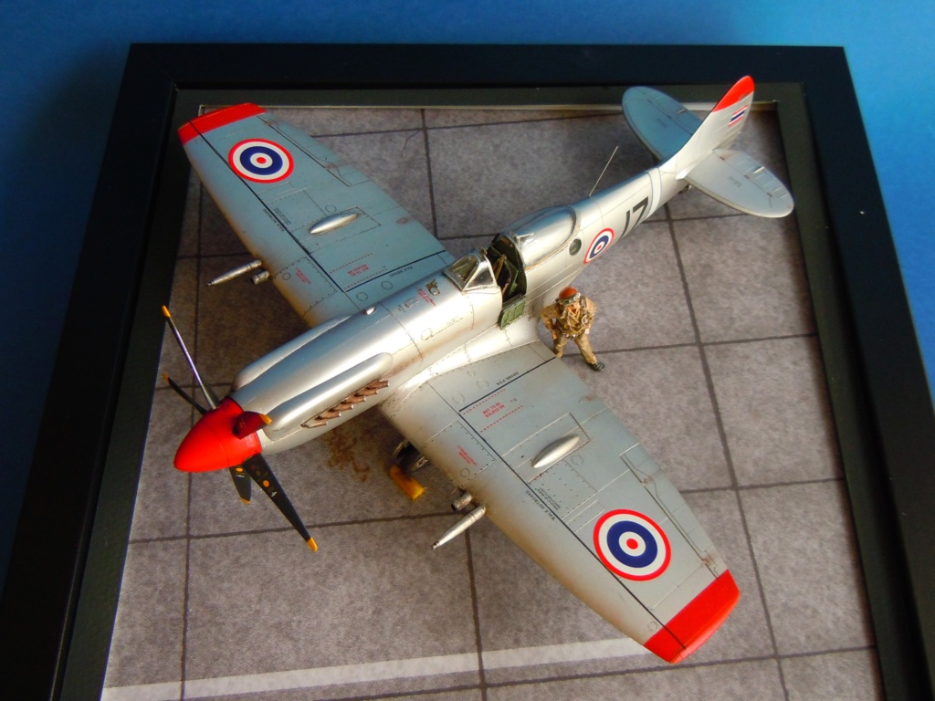 Spitfire FR Mk. XIVe RTAF - Academy 1/48 Dscn0312