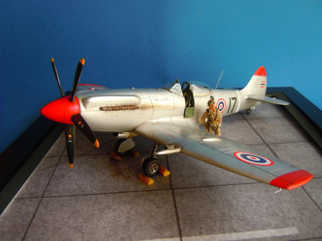Spitfire FR Mk. XIVe RTAF - Academy 1/48 Dscn0313
