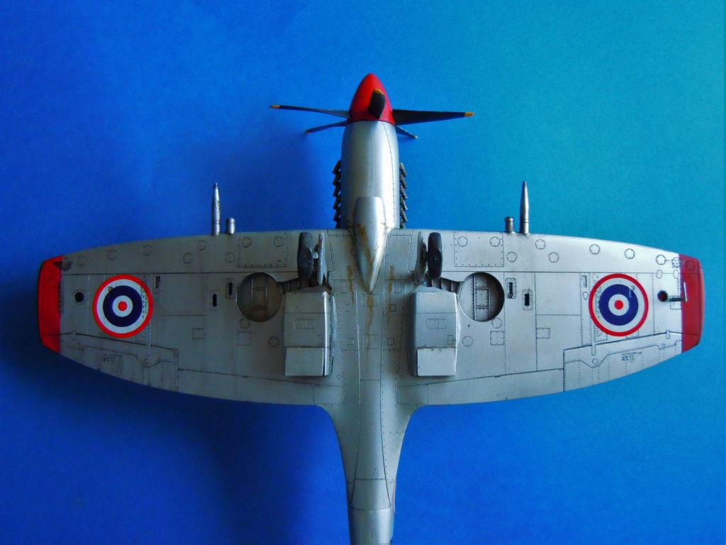 Spitfire FR Mk. XIVe RTAF - Academy 1/48 Dscn0315