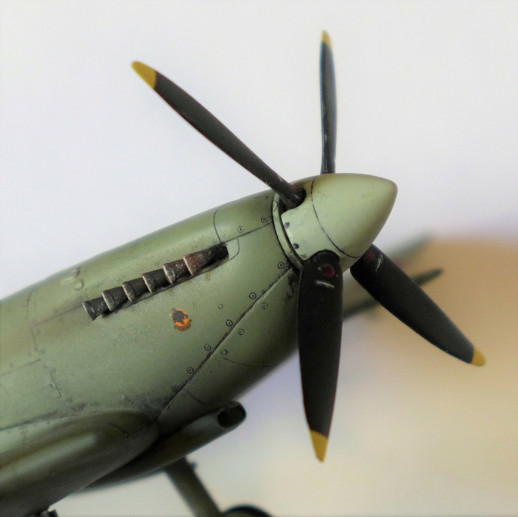 Seafire LFIII, 1 (F)Sqn, Irish Air Corps - Special Hobby 1/48 P1050442