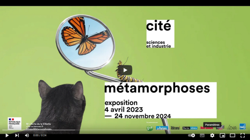 Cité des Sciences Métamorphoses, nouvelle exposition temporaire pour les enfants Mzotam10