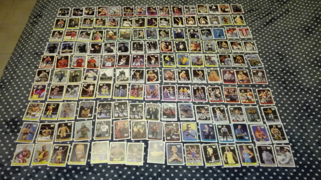 Collezione completa card wrestling merlin collection Img_2028