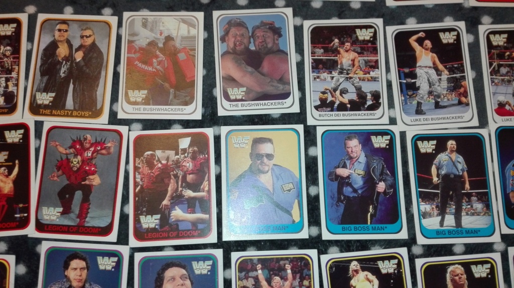 Collezione completa card wrestling merlin collection Img_2030