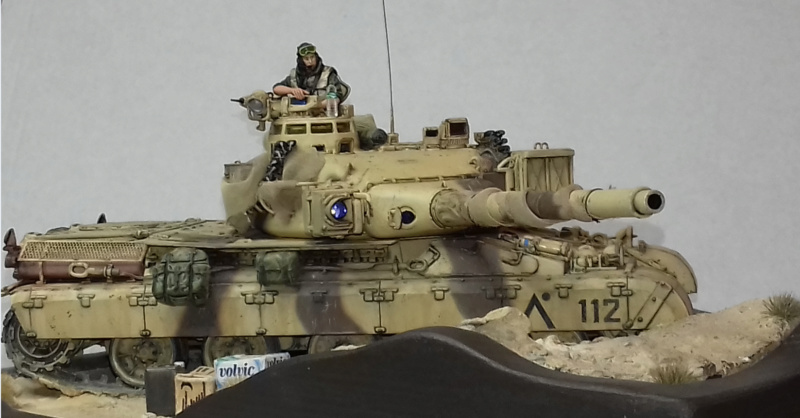 AMX 30 b2  AU SOLEIL  311