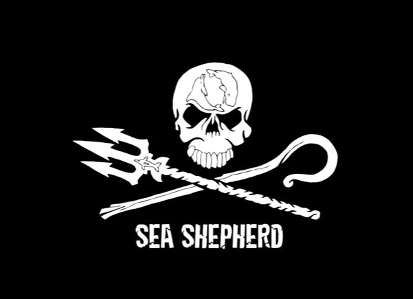 Sea Shepherd Screen11