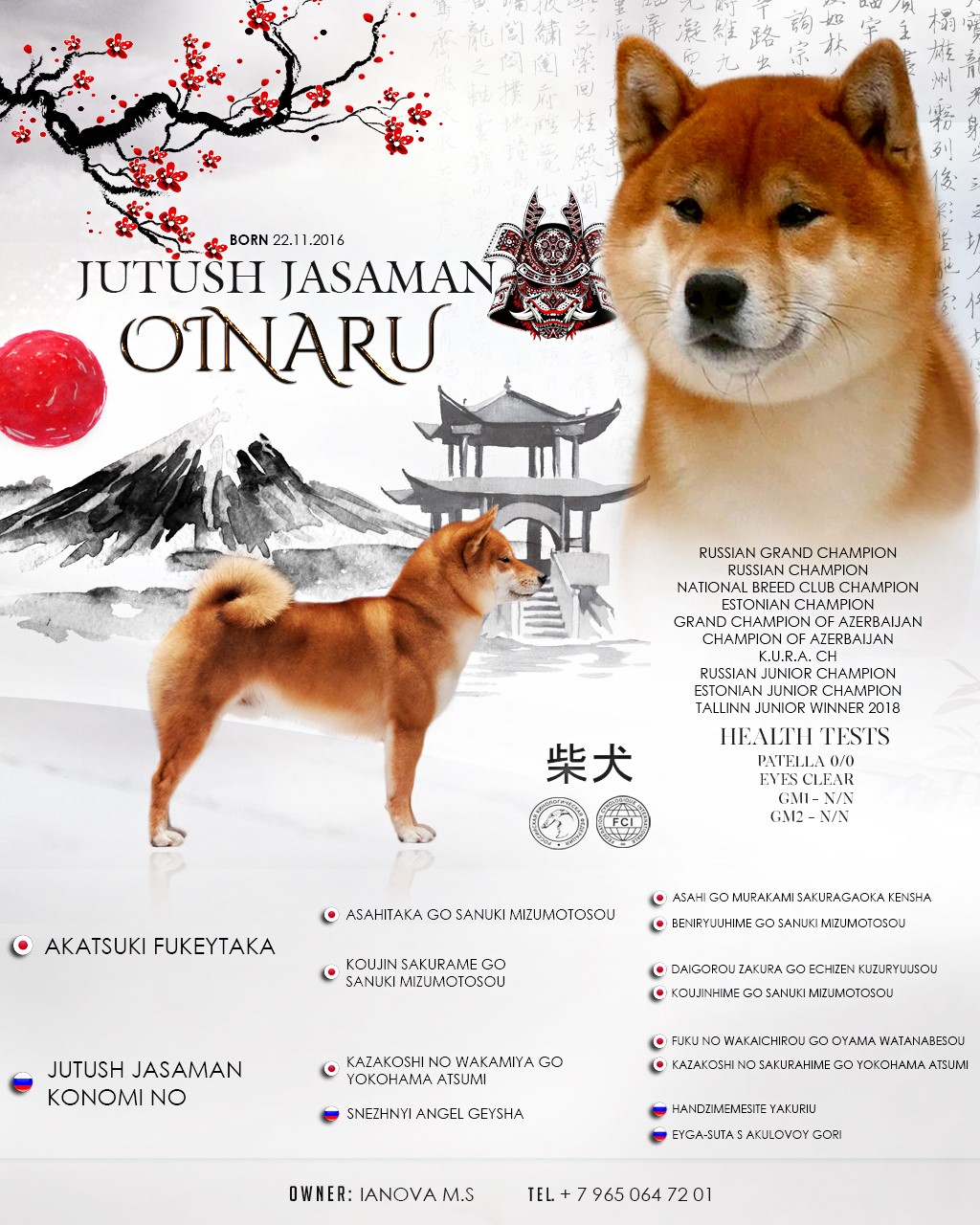 СПб, 1 девочка и 3 мальчика от JUTUSH JASAMAN OINARU и PANDA Oinaru11