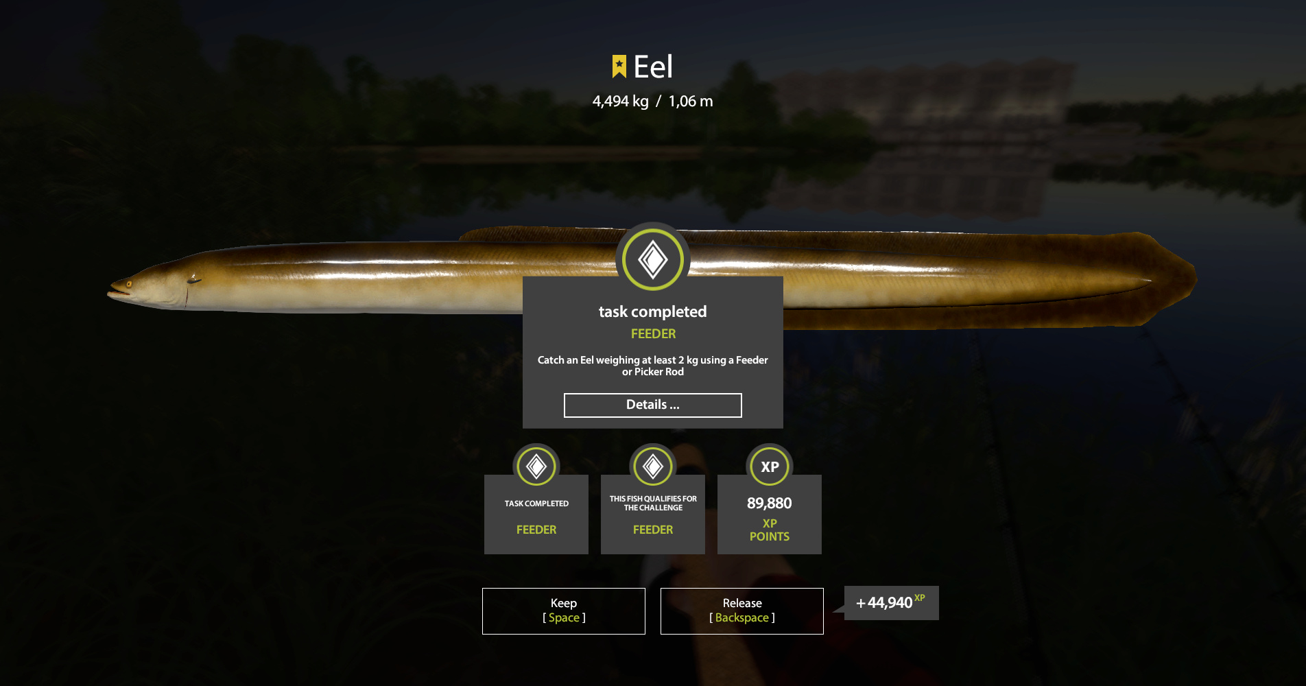 hot spot trophy Eel Rf4_4_14