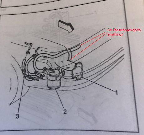 Evap hoses diagram Img_5610