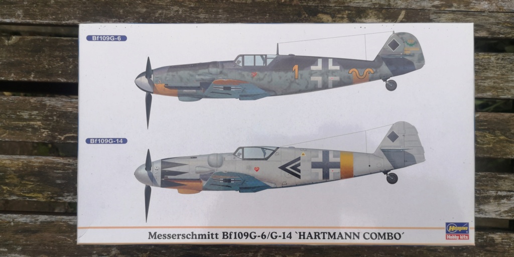  Bf 109 G-14 HARTMANN de Hasegawa Img_2123