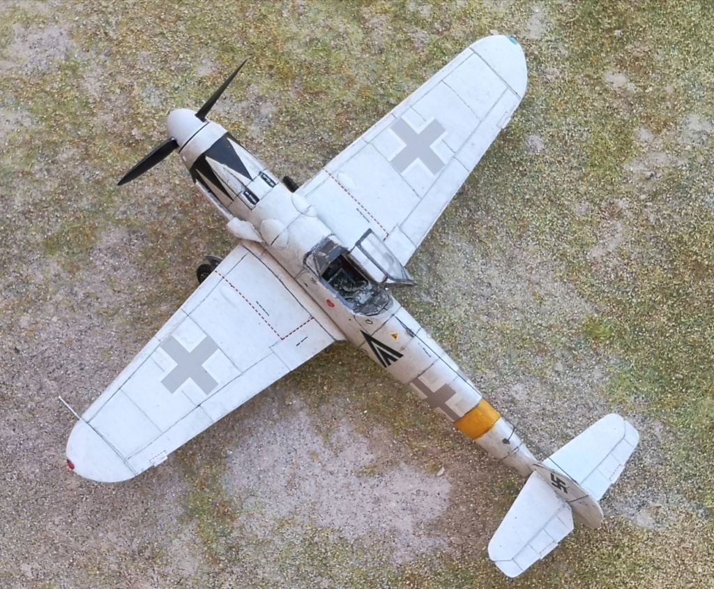  Bf 109 G-14 HARTMANN de Hasegawa Img_2138