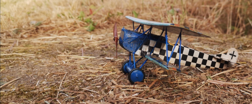 Fokker D  VII  de chez Dragon au 1/48e Img_2920