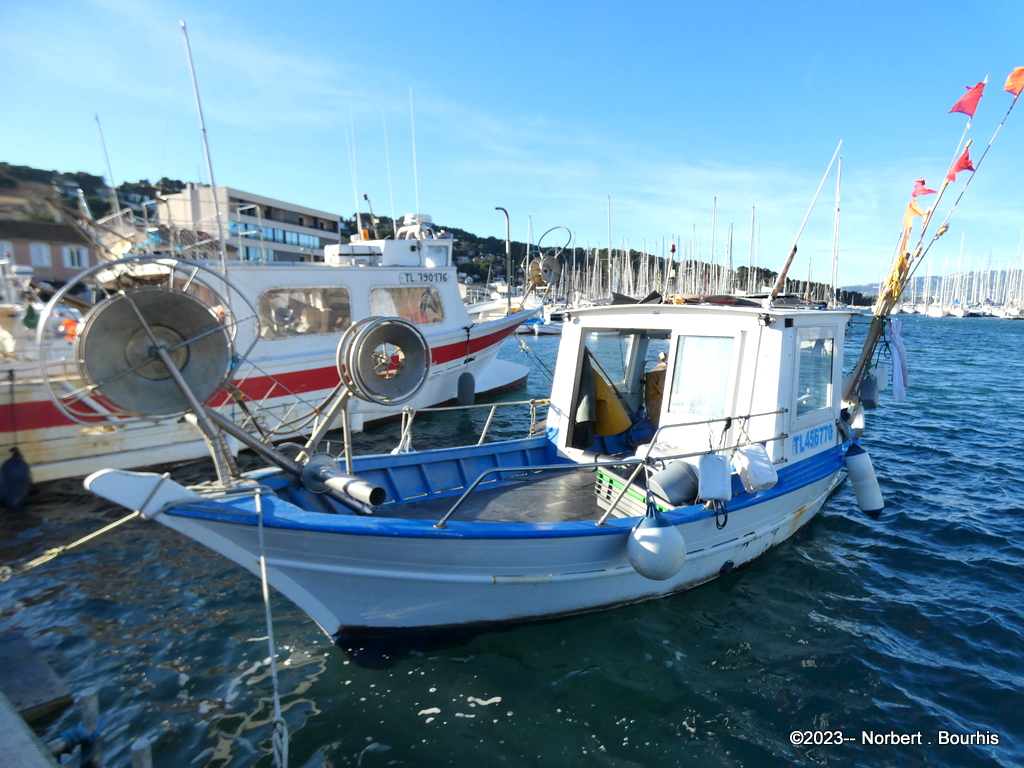 [Vie des ports] Quelques bateaux de pêche (sur nos côtes Françaises) - Page 22 P1320032