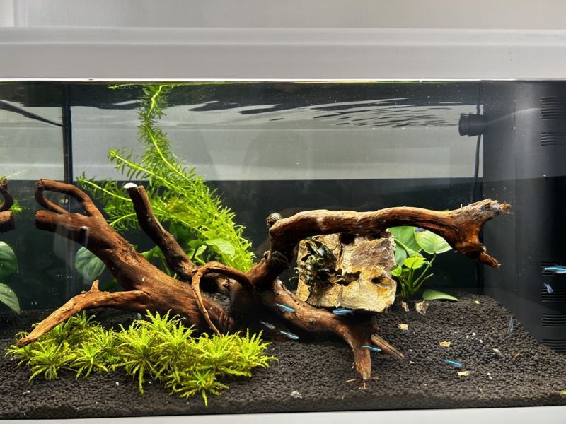 aquarium - Population premier aquarium  9bdbd810