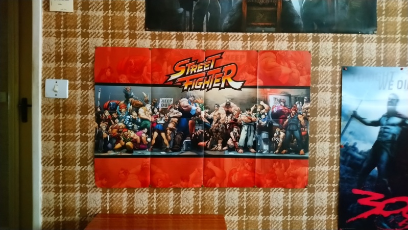 Street Fighter - Figurines de Collection - Altaya Dsc_0111