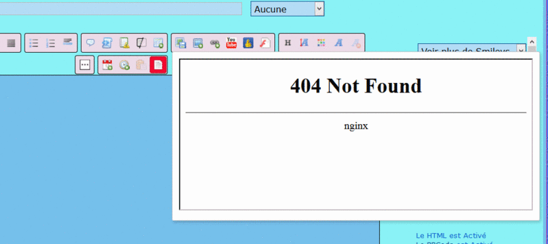 panne Servimg - Erreur "404 Not Found nginx" Ss02910