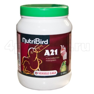 URGENT PERRUCHON !! Nutrib10