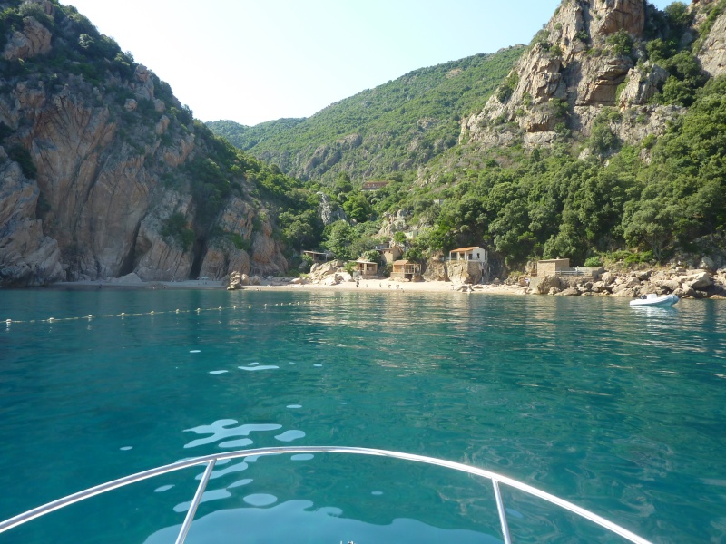 paradis - Corse : paradis pour aquascapers P1090011