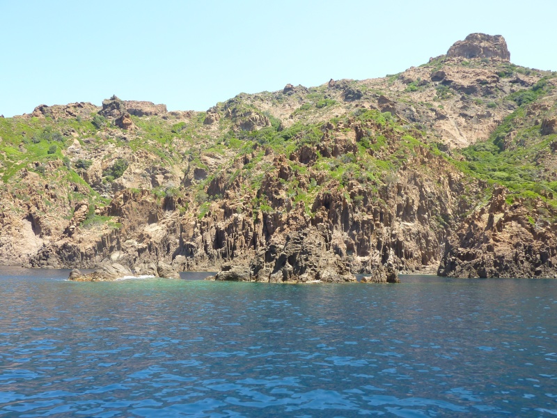paradis - Corse : paradis pour aquascapers P1090110