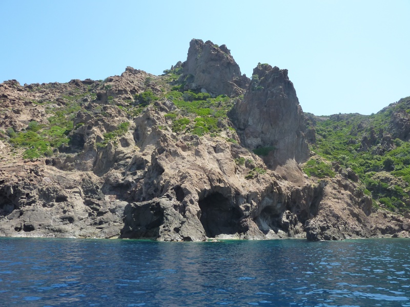 paradis - Corse : paradis pour aquascapers P1090112