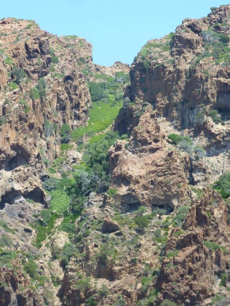 Corse : paradis pour aquascapers P1090114