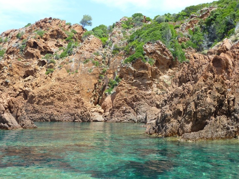 paradis - Corse : paradis pour aquascapers P1090210