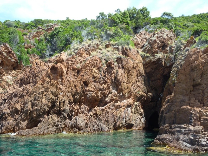 paradis - Corse : paradis pour aquascapers P1090211
