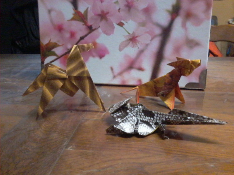 Origami - Page 2 Photo-91