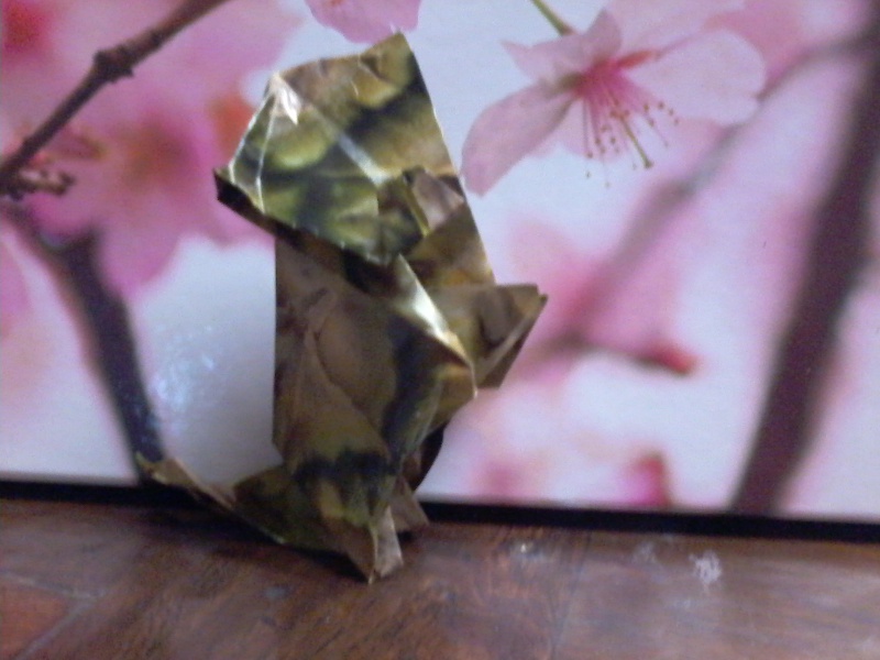 Origami - Page 2 Photo-96