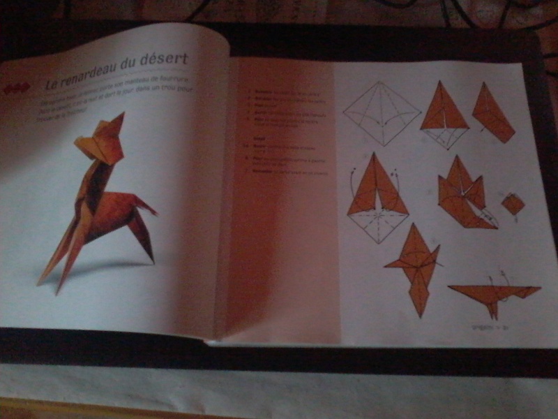 Origami - Page 2 Photo124
