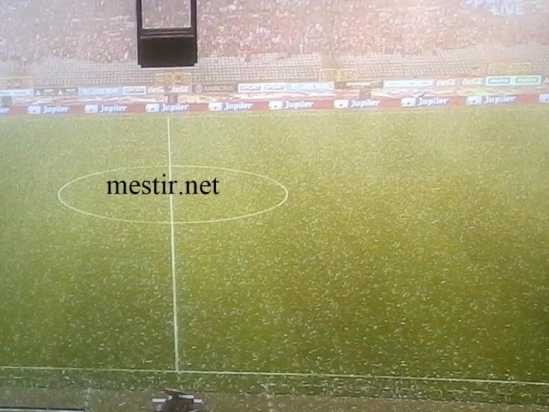 Match amical: Belgique - Tunisie Bel10