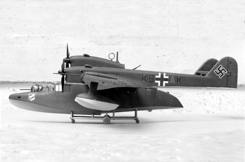 [Supermodel] Blohm und Voss BV 138 C-1, 1977 Img_0027