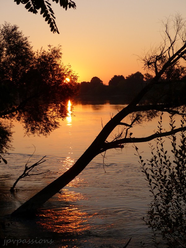 Lever du soleil sur la Loire P1060613