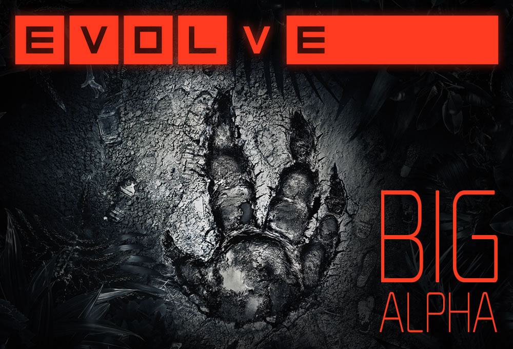 EVOLVE - Page 3 2kgmkt10