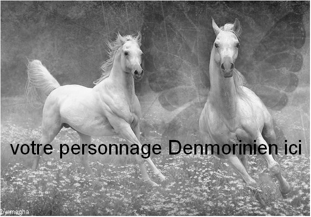 Dons Megha pour Denmoriny X210