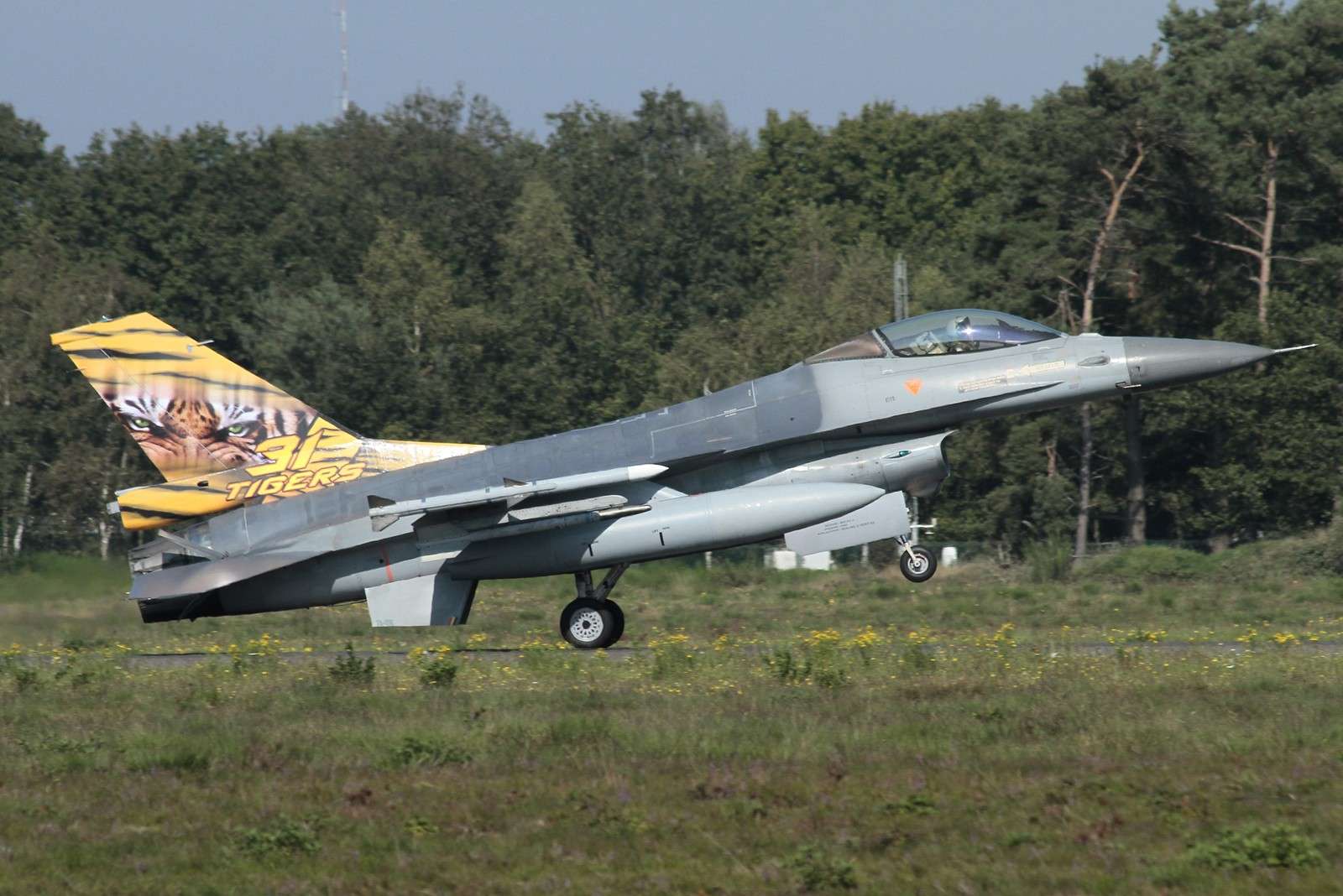 [12-14/09/2014]Meeting de Klein Brogel: Belgian Air Force Days... F16_ti11