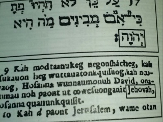 Jéhovah dans la Bible - Page 19 Cam00110