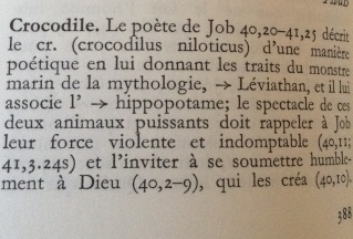 2 dinosaures sont décrit dans la Bible Ylohim10