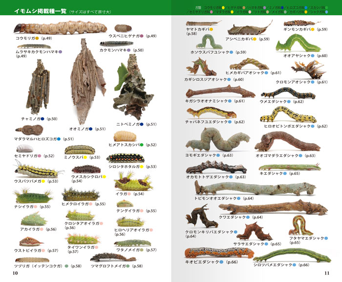 The Handbook of Japanese Caterpillar 1097_010