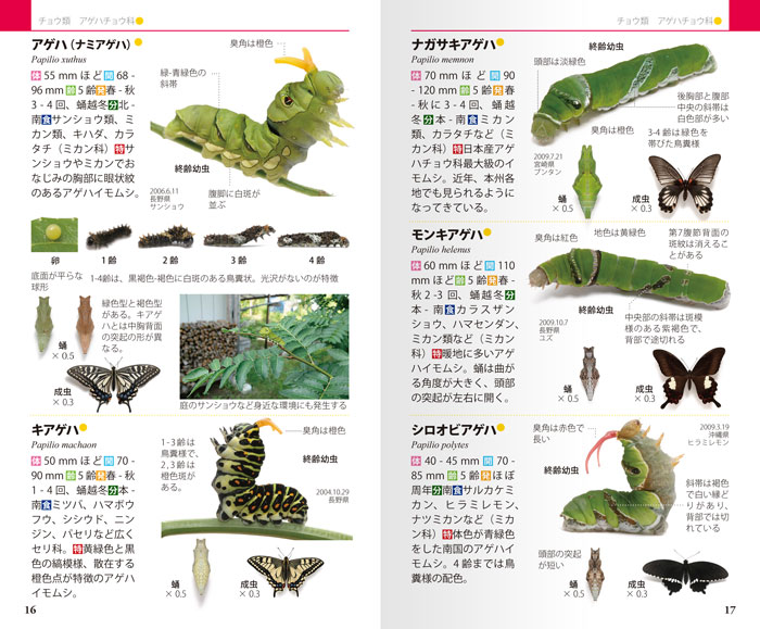 The Handbook of Japanese Caterpillar 1097_011