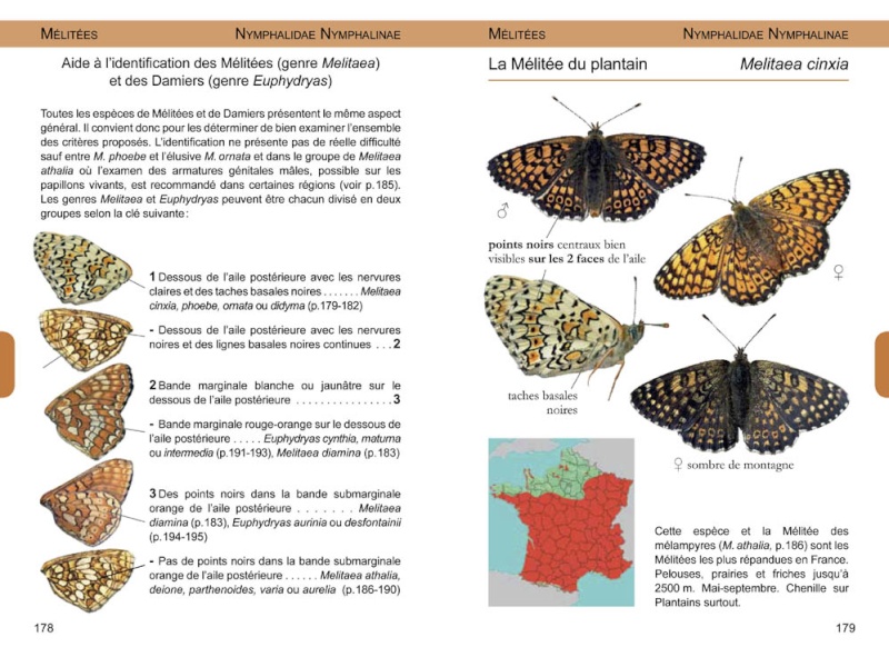 Papillons de France -NOUVEAU- 97829512