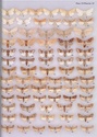 Noctuidae Europaeae - OUVRAGE SPÉCIALISÉ -  Noctui11