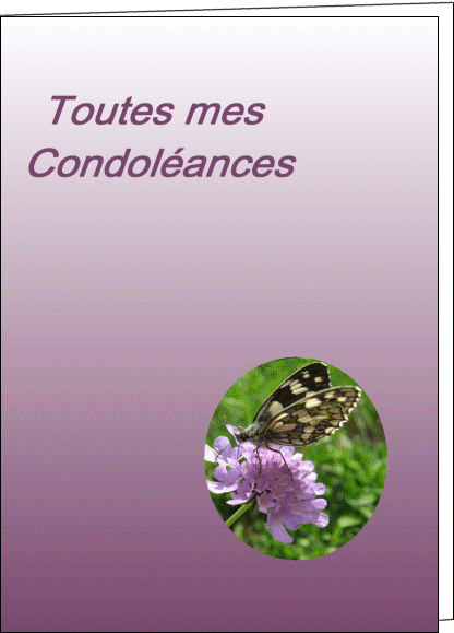 DECES Colonel LOUIS FOURNIER Condol10