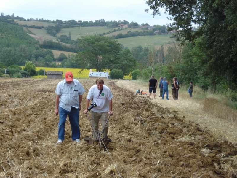 "pailloux paillette"a Beaumont sur Leze (31) Beaumo16